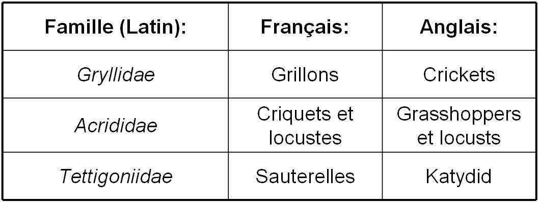 Élevages Lisard - Grillons, criquets et sauterelles